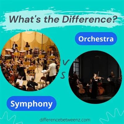 What's the Difference between a Symphony and an Orchestra: An Insightful Exploration